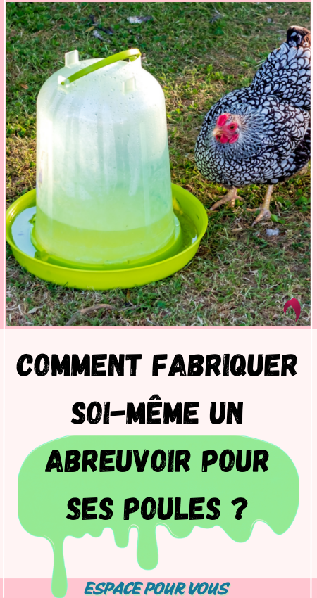 Comment fabriquer soi-même un abreuvoir pour ses poules ?
